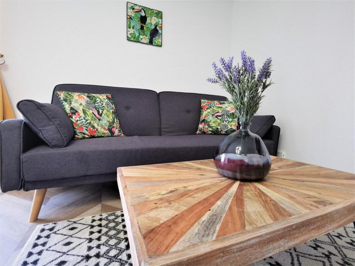 Apartment T2 Cosy ₪ Securise ₪ Airbus ₪ Piscine Colomiers